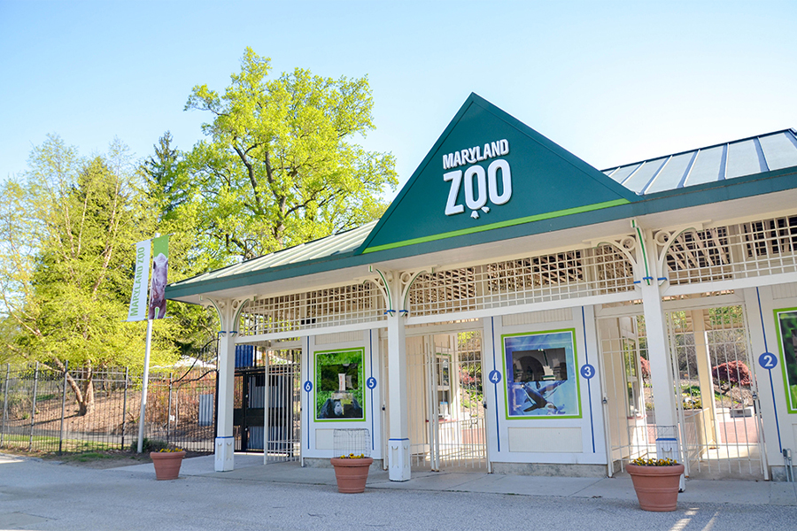 SJP Engage Partner Organization: Maryland Zoo