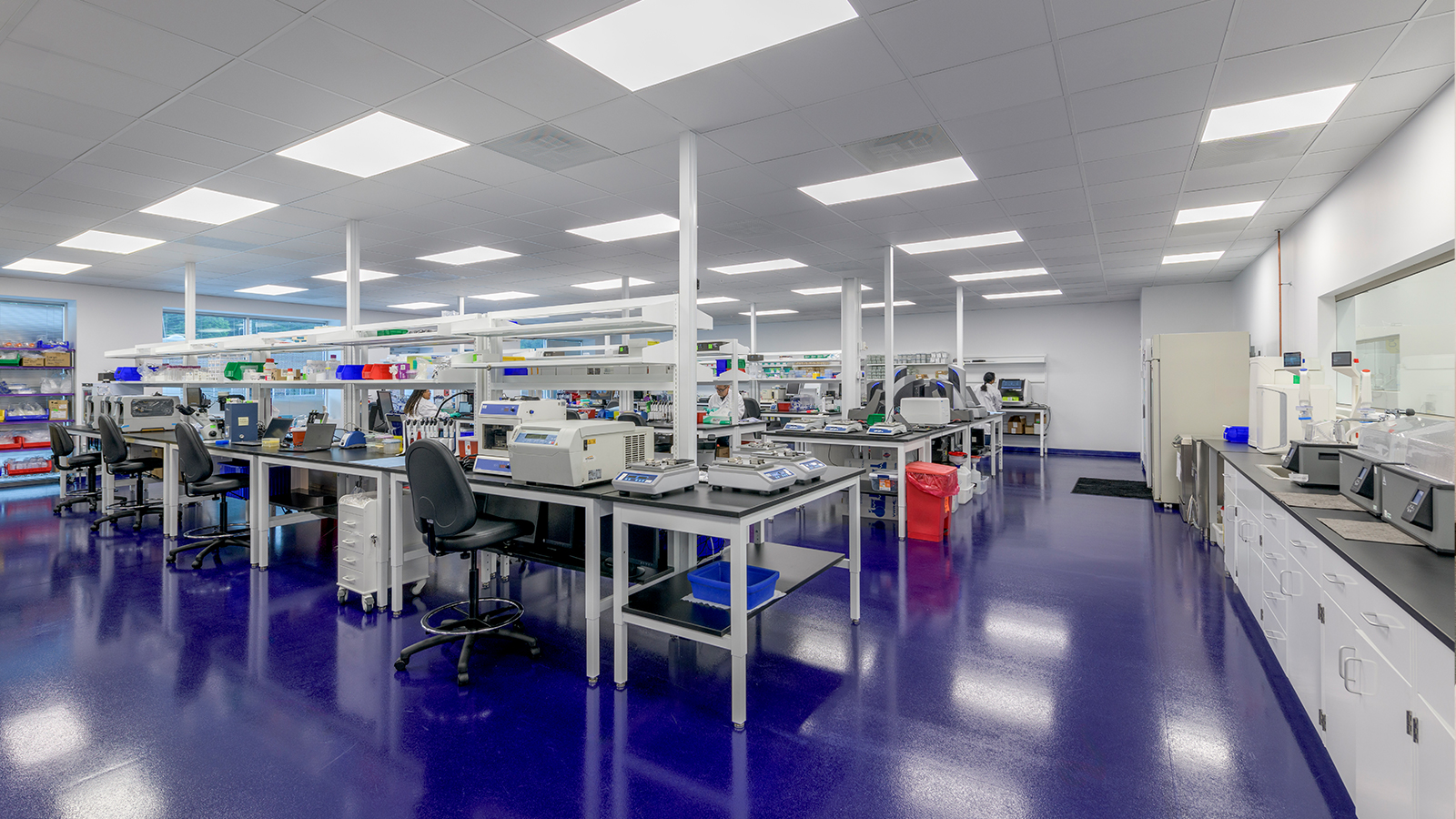 Flex/R&D lab build-out