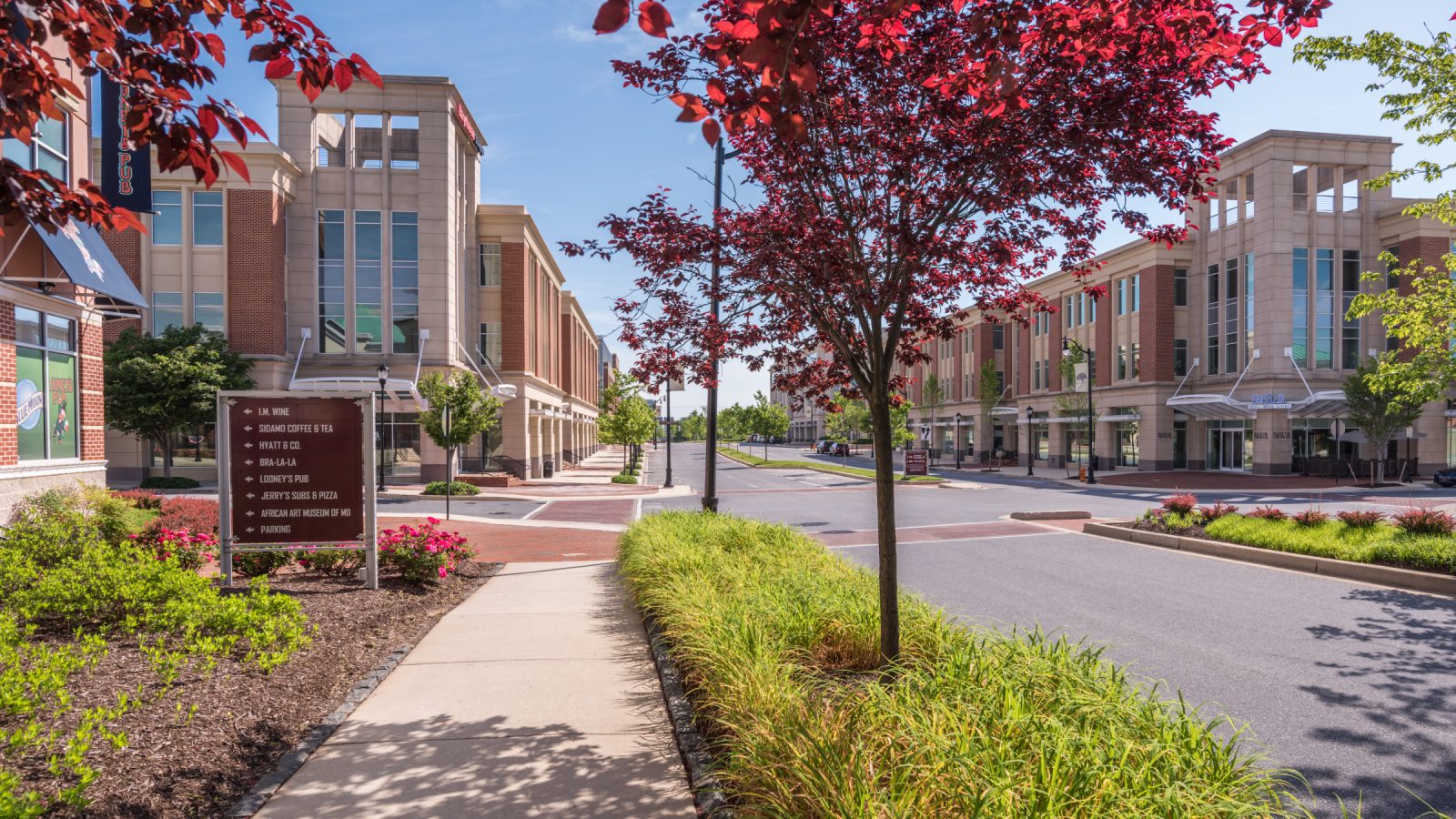 Maple Lawn | Street view of walkable community